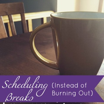 Blog: Scheduling Breaks (Instead of Burning Out) by Jamie Raintree | http://jamieraintree.com #entrepreneurs #creatives #happiness