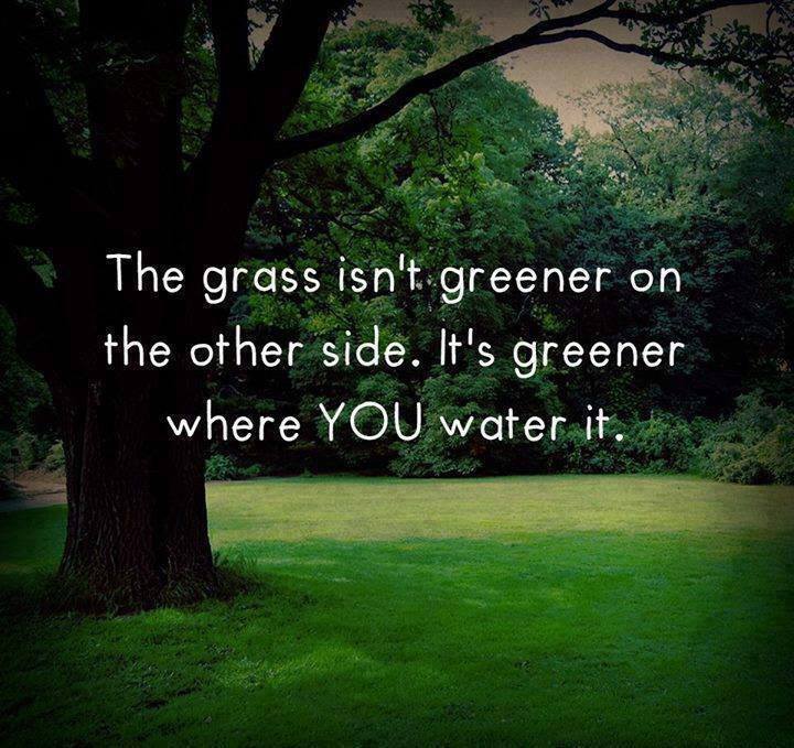 The Grass is Greener Where You Water It – Jamie Raintree